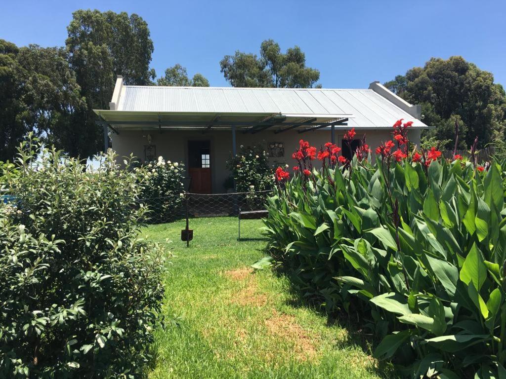 Sanctuary Life Guest Farm Ξενοδοχείο Magaliesburg Εξωτερικό φωτογραφία