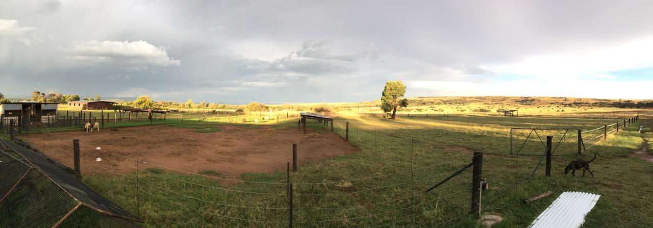 Sanctuary Life Guest Farm Ξενοδοχείο Magaliesburg Εξωτερικό φωτογραφία