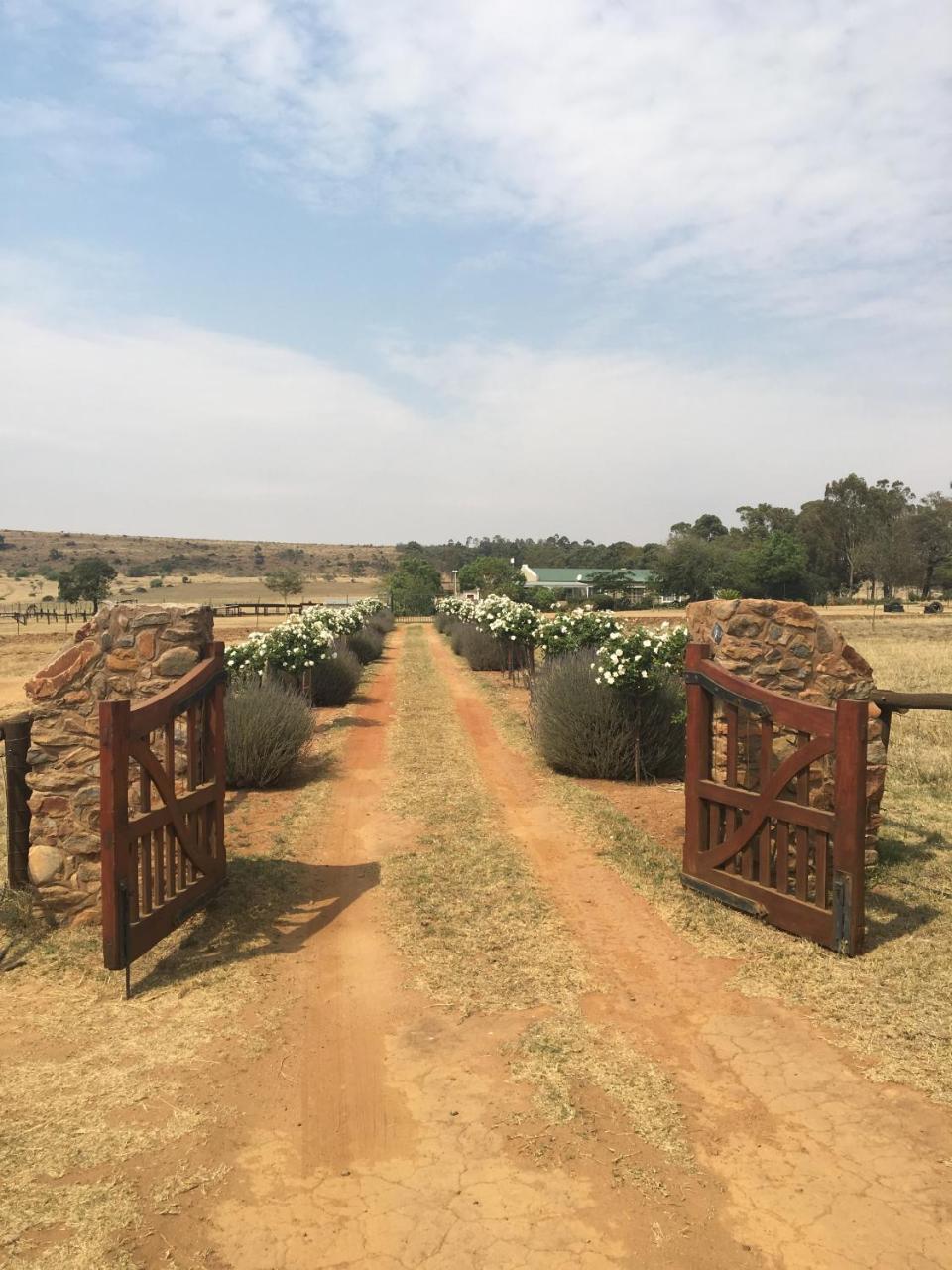 Sanctuary Life Guest Farm Ξενοδοχείο Magaliesburg Εξωτερικό φωτογραφία
