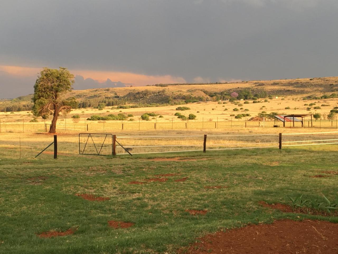Sanctuary Life Guest Farm Ξενοδοχείο Magaliesburg Εξωτερικό φωτογραφία