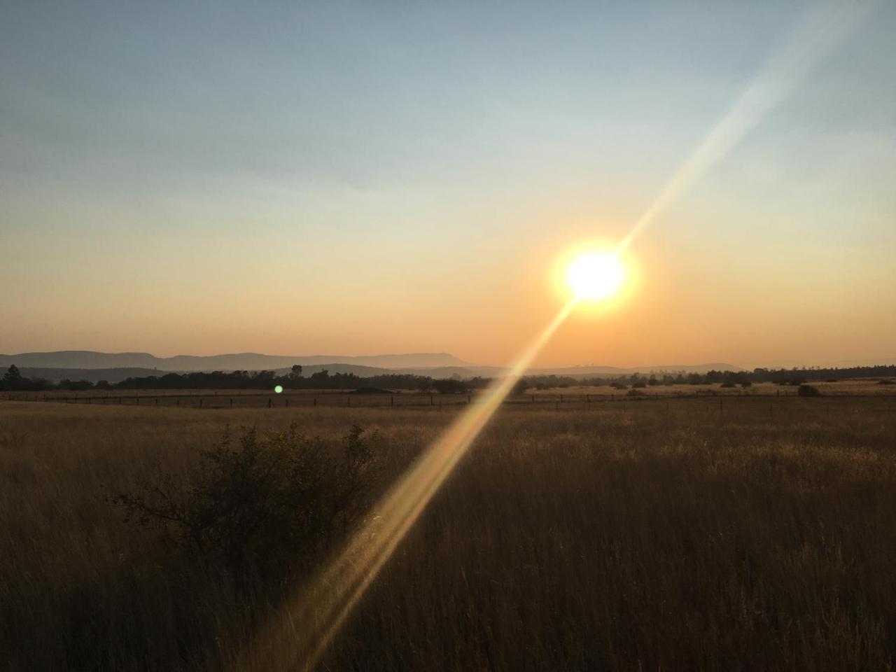 Sanctuary Life Guest Farm Ξενοδοχείο Magaliesburg Εξωτερικό φωτογραφία